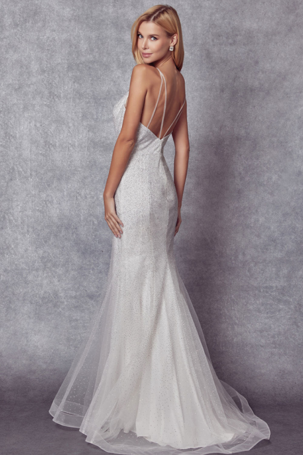 Image of the back of Juliet's Sparkly Fitted Gown in Silver on a model.