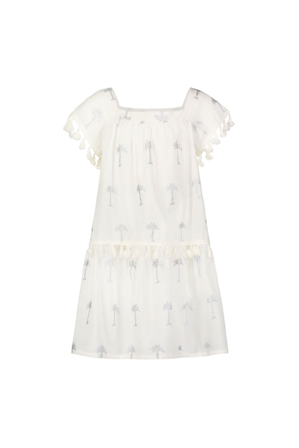 Image of the front of the Phoebe Palm Dress in Silver.